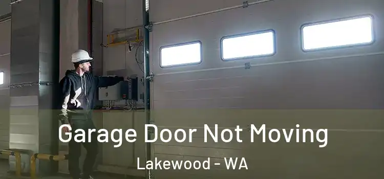  Garage Door Not Moving Lakewood - WA
