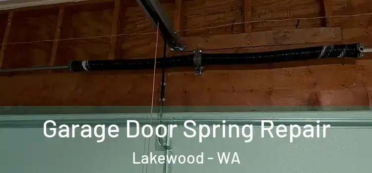  Garage Door Spring Repair Lakewood - WA